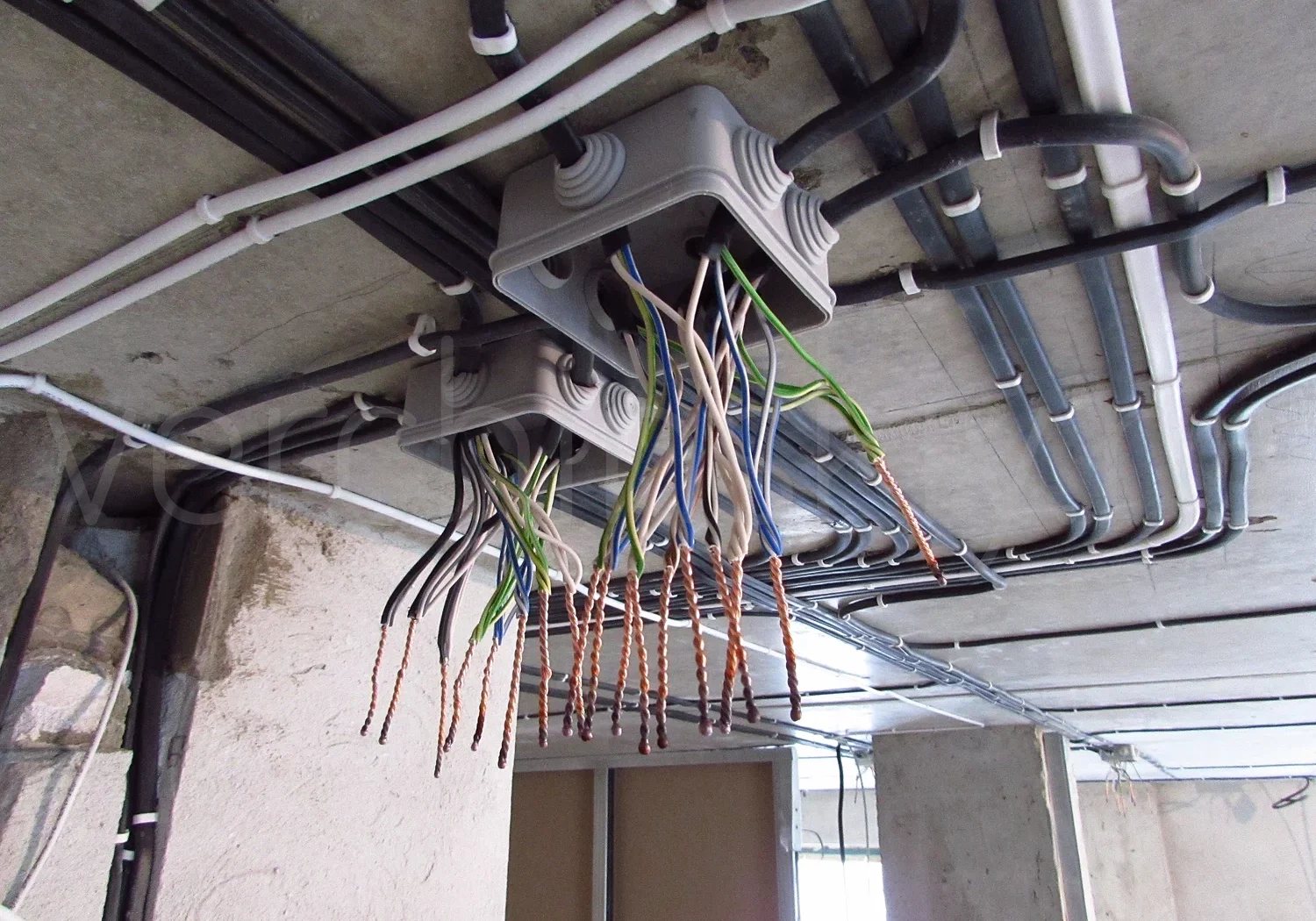 электроповодки
